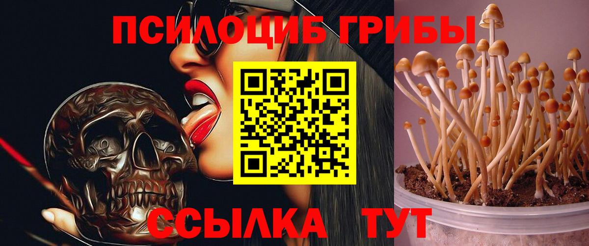 Галлюциногенные грибы GOLDEN TEACHER Торжок