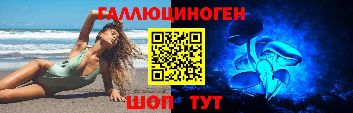 Торжок  Псилоцибиновые грибы MAGIC MUSHROOMS  Вход с VPN  Псилоцибиновые грибы Cubensis 